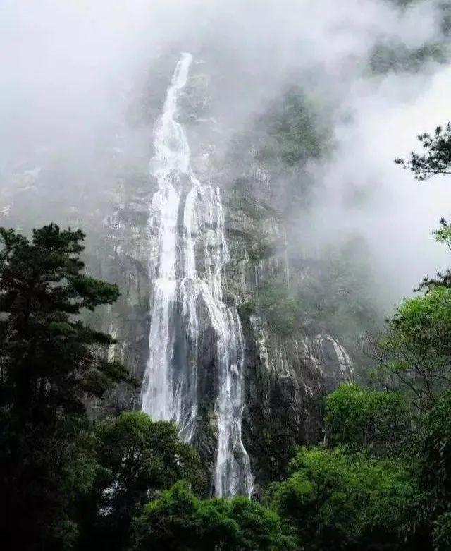 救援小蝙蝠